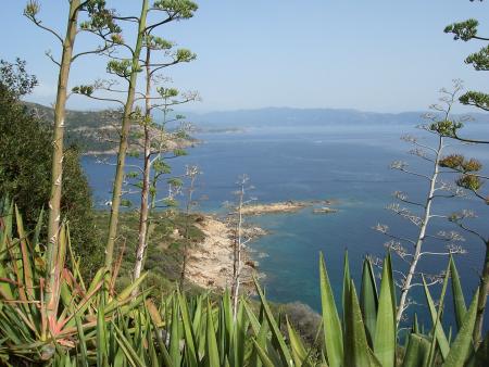 Cargese