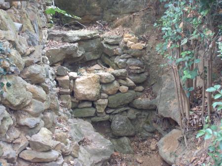 Jardin de mon pre