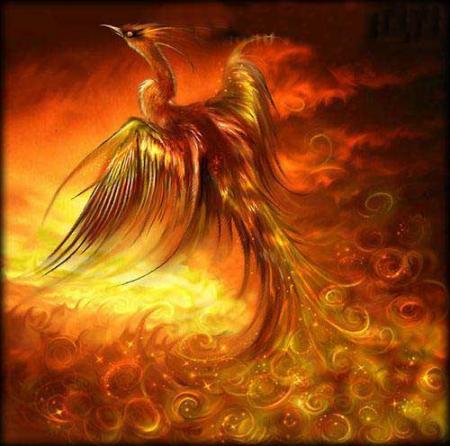 Pour faire le portrait d'un oiseau